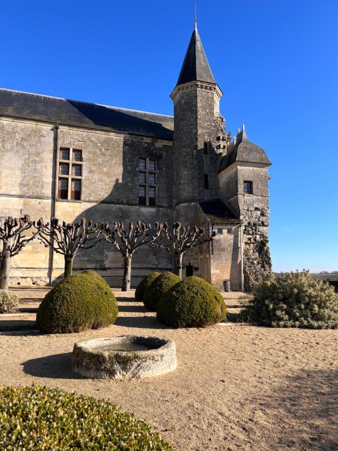Maisons D'Hotes Du Chateau Au Grand Pressigny Le Grand-Pressigny Exterior photo